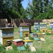 Виготовлення багатокорпусного вулика на 10 рамок (рамок) Виготовлення багатокорпусного вулика на 10 рамок