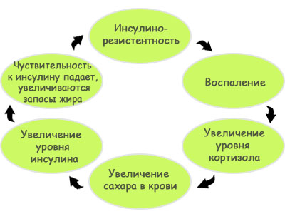 Які гормони впливають на вагу жінки і заважають схуднути, fordiets