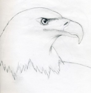 Cum să elaboreze un creion cap de vultur în etape