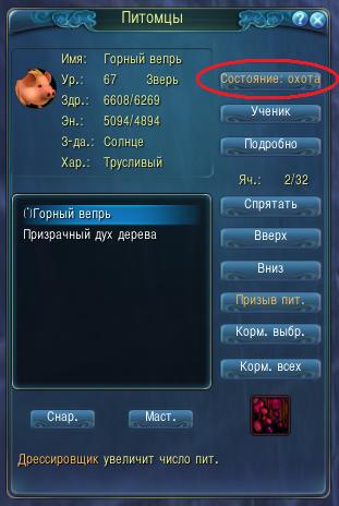 Як пет збирає реси (збирає) Як пет збирає реси