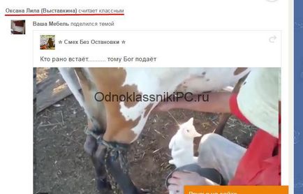 Як подивитися в однокласниках кому я ставила клас (клас) Як подивитися в однокласниках кому я ставила клас