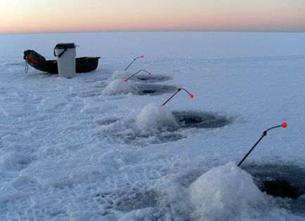 Як правильно ловити корюшку взимку на снасті зроблені своїми руками