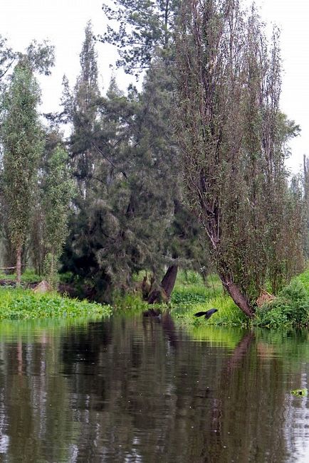 Кладовище ляльок - новини в фотографіях (ляльок) Кладовище ляльок - новини в фотографіях