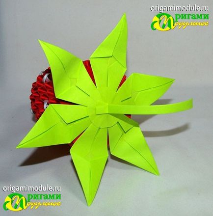 Полуниця орігамі (полуниця) Полуниця орігамі