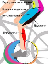 Контактна педалювання (крутити педалі правильно) Контактна педалювання