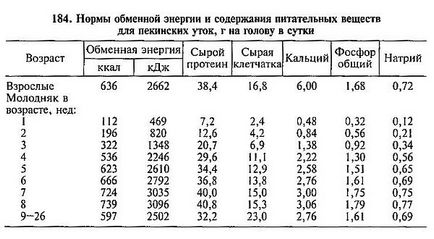 Годування качок, головний фермерський портал - все про бізнес в сільському господарстві