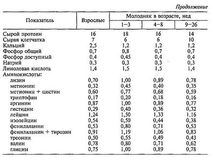 Годування качок, головний фермерський портал - все про бізнес в сільському господарстві