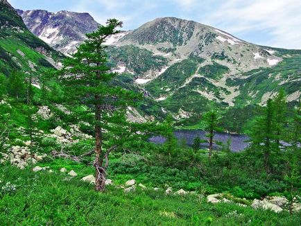 Кузнецький Алатау, подорожній (Алатау) Кузнецький Алатау, подорожній