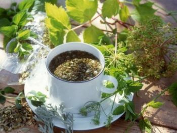 Лікування багряниці - 24 рецепта! (Рецепта) Лікування багряниці - 24 рецепта!
