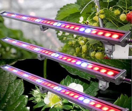 Led або світлодіодні лампи для теплиці (світильники світлодіодні лампи led для рослин томатів огірків в теплицях освітлення характеристика світлодіодів штучне освітлення рослин) Led або світлодіодні лампи для теплиці