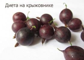 Літня дієта правила харчування і поради дієтологів (харчування) Літня дієта правила харчування і поради дієтологів