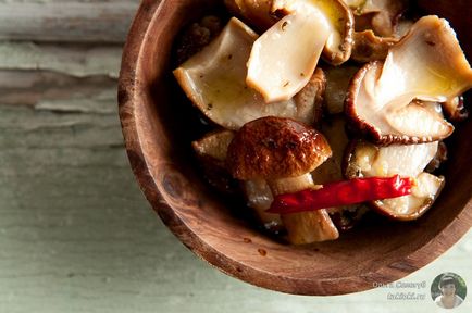 Мариновані білі гриби - рецепти (рецепти) Мариновані білі гриби - рецепти