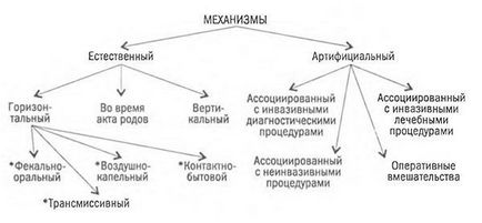 Механізми, шляхи і чинники інфікування медичних працівників (розвиток) Механізми, шляхи і чинники інфікування медичних працівників