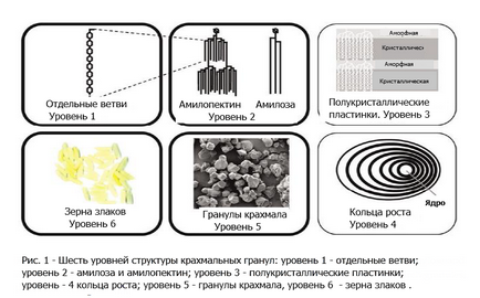 модифікований крохмаль