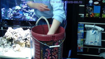 Море своїми руками, блог акваріума (море) Море своїми руками, блог акваріума