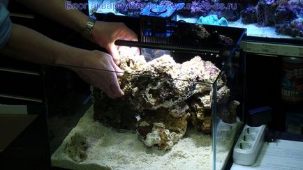 Море своїми руками, блог акваріума (запуск морського акваріума) Море своїми руками, блог акваріума