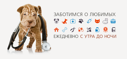 Москвавет - ветеринарна клініка в Москві () Москвавет - ветеринарна клініка в Москві