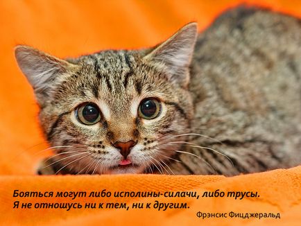 Мотивуючі картинки як побороти страх (фото) (мотивуючі картинки) Мотивуючі картинки як побороти страх (фото)