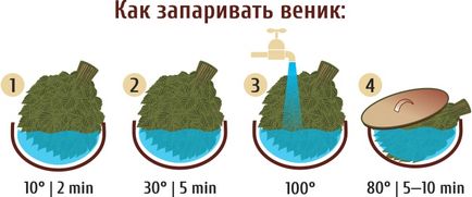 Ялівцевий віник для лазні розповімо про користь, як запарити, зберігати