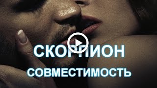 Чоловік стрілець сумісність з іншими знаками в любові (стрілець) Чоловік стрілець сумісність з іншими знаками в коханні