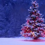 Новий рік, Трікка - тести для дівчаток (новий) Новий рік, Трікка - тести для дівчаток
