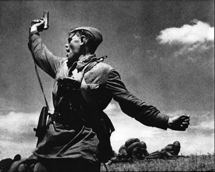 Збройний журнал, тульський токарев (токарев) Збройний журнал, тульський токарев