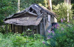 Особливості страхування дачі (страхування дачі вартість) Особливості страхування дачі
