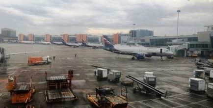 Відпочинок з дітьми ена помилка у квитку на літак що робити відпочинок з дітьми самостійно (дітьми) Відпочинок з дітьми ена помилка у квитку на літак що робити відпочинок з дітьми самостійно