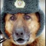 Звідки і як з'явилися граніти, блог алексей Вербів, конт (граніти) Звідки і як з'явилися граніти, блог алексей Вербів, конт