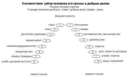 Про зубах значення кожного зуба - астрологічний аналіз - каталог статей - астрологічний сайт