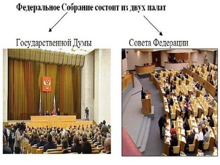 Парламентський урок - тут народжуються закони - суспільствознавство, презентації (народжуються) Парламентський урок - тут народжуються закони - суспільствознавство, презентації