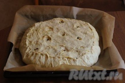 Пиріг з куркою, помідорами і сиром - рецепт з фото (куркою) Пиріг з куркою, помідорами і сиром - рецепт з фото