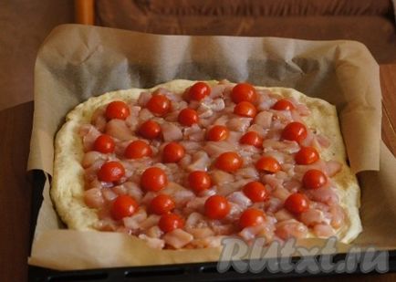 Пиріг з куркою, помідорами і сиром - рецепт з фото (помідорами) Пиріг з куркою, помідорами і сиром - рецепт з фото