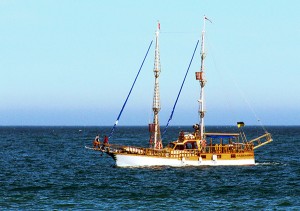 Чому море солоне, Керкінітида євпаторія історія з давніх часів, до наших днів відпочинок і лікування