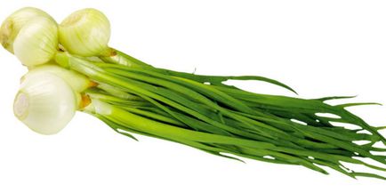 Користь і шкода цибулі для здоров'я організму (ріпчаста, зелений) (здоров'я) Користь і шкода цибулі для здоров'я організму (ріпчаста, зелений)