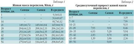 Породи перепелів фото і опис, таблиця зростання всіх порід (приплив) Породи перепелів фото і опис, таблиця зростання всіх порід