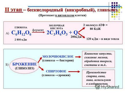 Презентація на тему енергетичний обмін (обмін) Презентація на тему енергетичний обмін