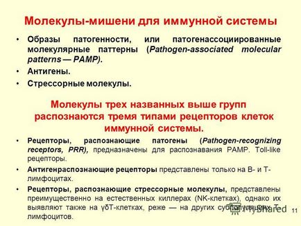 Презентація на тему протиінфекційний імунітет визначення, типи, види, механізми сумської (види) Презентація на тему протиінфекційний імунітет визначення, типи, види, механізми сумської