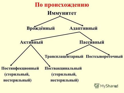 Презентація на тему протиінфекційний імунітет визначення, типи, види, механізми сумської (механізми сумської державний університет медичний інститут СумДУ кафедра гігієни та екології.) Презентація на тему протиінфекційний імунітет визначення, типи, види, механізми сумської