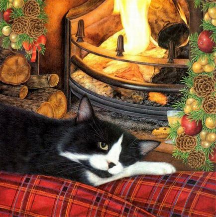 Пригоди чорного кота (кота) Пригоди чорного кота