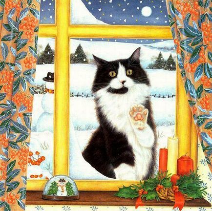 Пригоди чорного кота (пригоди) Пригоди чорного кота