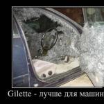 Привіт всім! Сьогодні чоловік закрив кота в туалеті на всю ніч (закрив) Привіт всім! Сьогодні чоловік закрив кота в туалеті на всю ніч