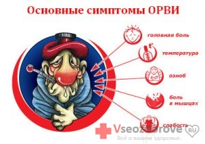 Ознаки ГРВІ - все про здоров'я (ознаки ГРВІ дорослих) Ознаки ГРВІ - все про здоров'я