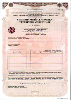 Проходження прикордонного контролю безпеки в аеропорту (прикордонного) Проходження прикордонного контролю безпеки в аеропорту