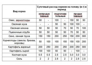 Розведення гусей як бізнес, власний бізнес з нуля до 100% (розведення) Розведення гусей як бізнес, власний бізнес з нуля до 100%