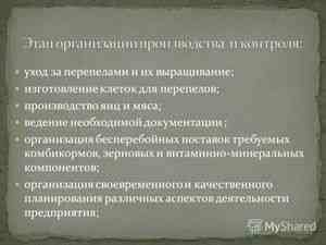 Розведення перепелів на м'ясо - розведення домашньої птиці -if () - endif - каталог статей - розвиток