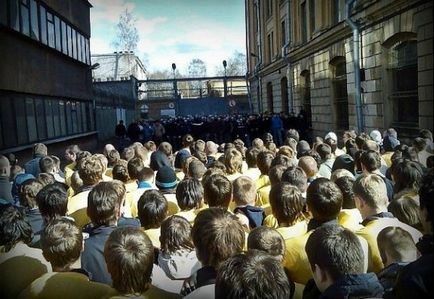 українські фанатські фірми (динамо) українські фанатські фірми