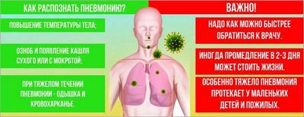 Найефективніші засоби для лікування запалення легенів в домашніх умовах (легких) Найефективніші засоби для лікування запалення легенів в домашніх умовах
