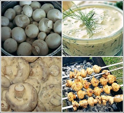 Печериці на мангалі - смачне рішення для вашого столу (мангалі) Печериці на мангалі - смачне рішення для вашого столу