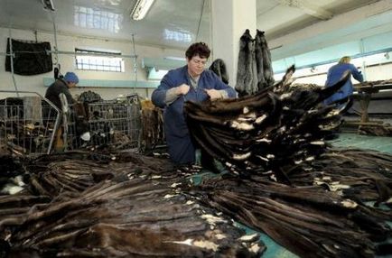 Шуба з в'язаній норки ціни, відгуки (шуба) Шуба з в'язаній норки ціни, відгуки